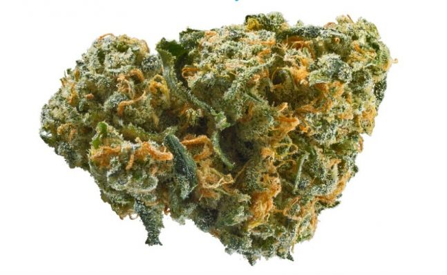Buy weed online: Get Ample Space To Display Collections