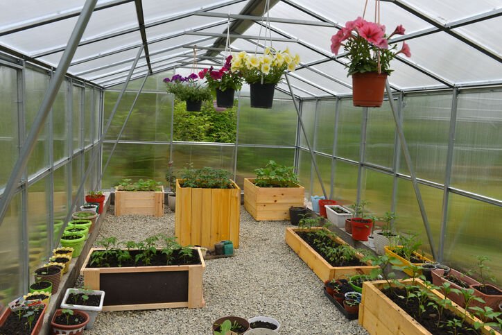 Some Great Benefits Of Greenhouse Gardening