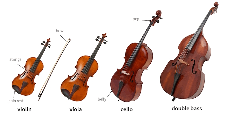 Violins Vs. Violas: The Ultimate Showdown