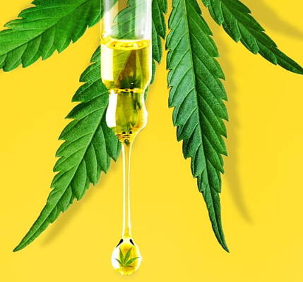 Get the Most Out of Shopping for CBD Oil Nearby Stores